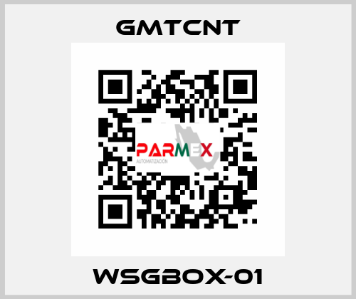 WSGBOX-01 GMTCNT