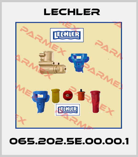 065.202.5E.00.00.1 Lechler