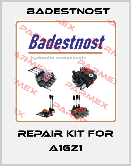 repair kit for A1GZ1 Badestnost