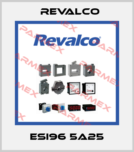 ESI96 5A25 Revalco