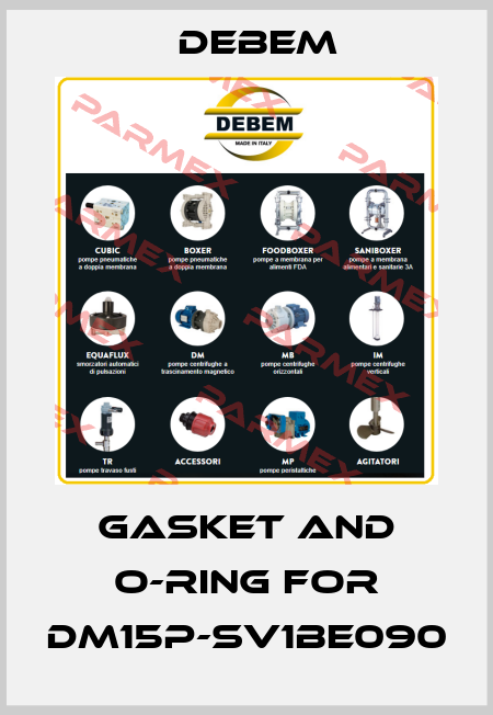 gasket and o-ring for DM15P-SV1BE090 Debem