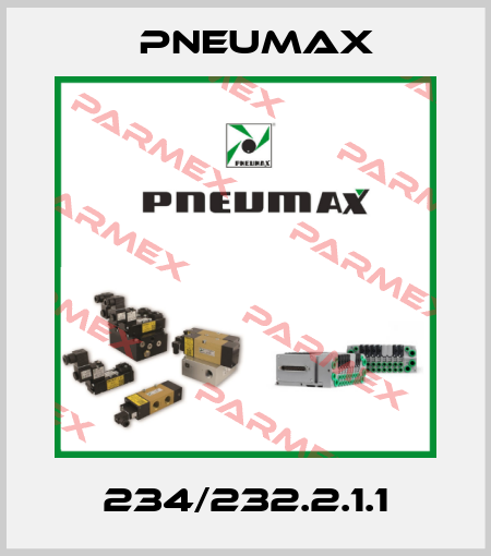 234/232.2.1.1 Pneumax