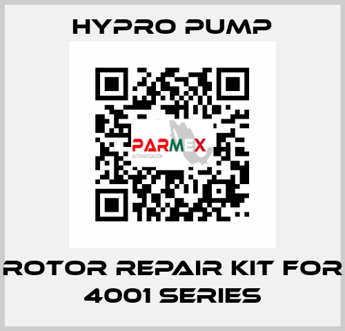 Rotor Repair Kit for 4001 Series Hypro Pump