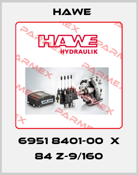 6951 8401-00  X 84 Z-9/160 Hawe