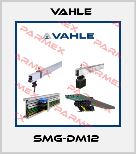 SMG-DM12  Vahle