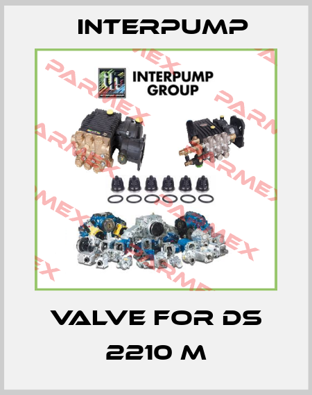 valve for DS 2210 M Interpump