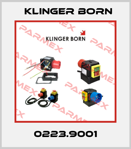 0223.9001 Klinger Born