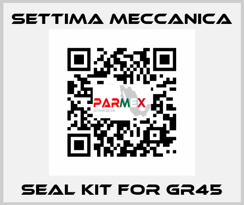 Seal kit for GR45 Settima Meccanica