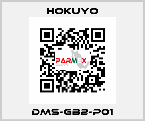 DMS-GB2-P01 Hokuyo