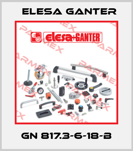 GN 817.3-6-18-B Elesa Ganter