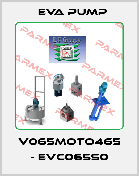 V065MOTO465 - EVC065S0 Eva pump