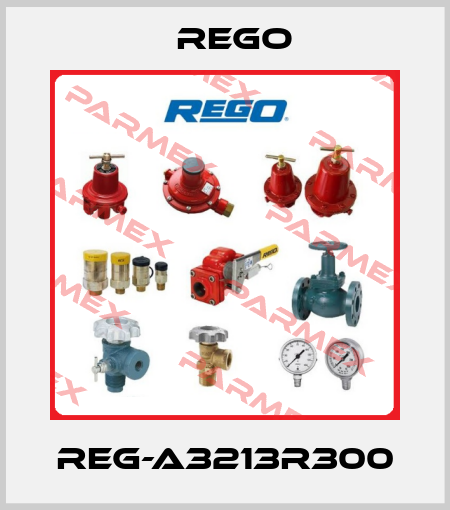 REG-A3213R300 Rego