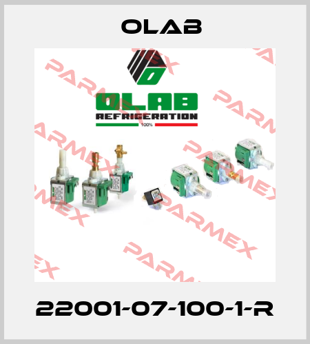 22001-07-100-1-R Olab
