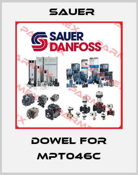 dowel for MPT046C Sauer