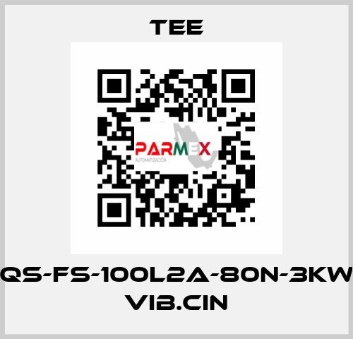 QS-FS-100L2A-80N-3KW VIB.CIN TEE