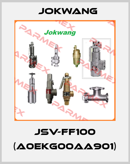 JSV-FF100 (A0EKG00AA901) Jokwang