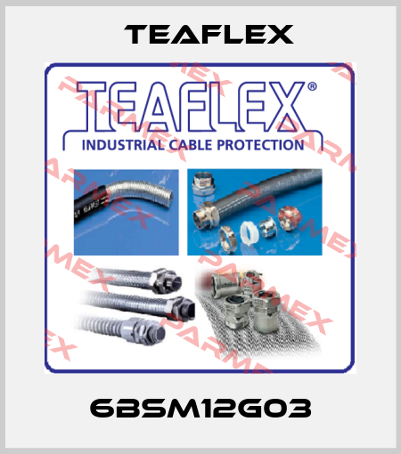 6BSM12G03 Teaflex
