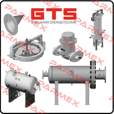 P/N: 55-10016-1110, Type: VZF 100-16 GTS-Thielmann Energietechnik