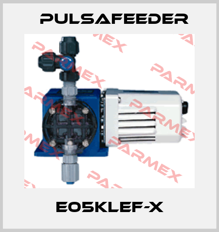 E05KLEF-X Pulsafeeder