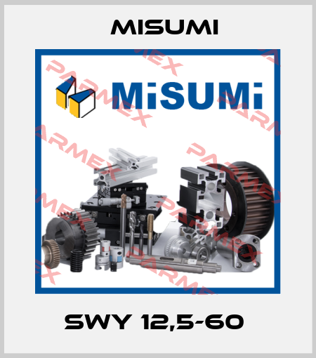SWY 12,5-60  Misumi