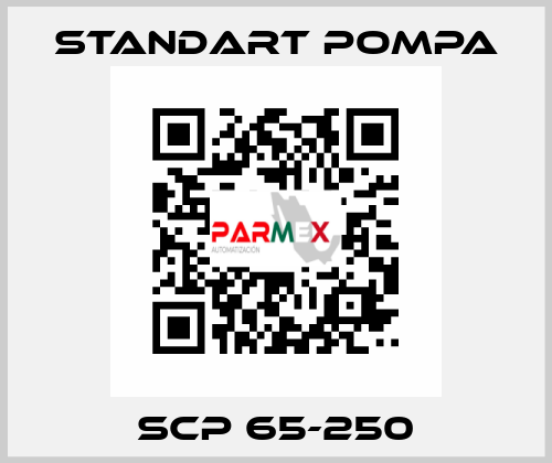 SCP 65-250 STANDART POMPA