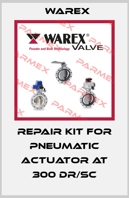 repair kit for pneumatic actuator AT 300 DR/SC Warex