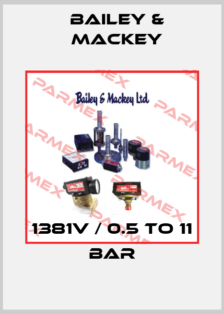 1381V / 0.5 to 11 bar Bailey & Mackey