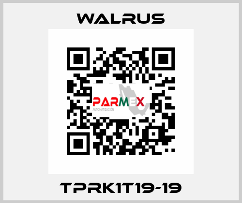 TPRK1T19-19 Walrus