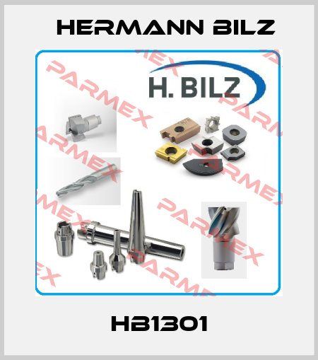 HB1301 Hermann Bilz