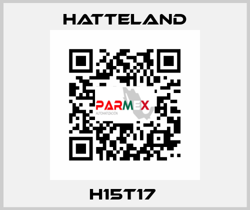 H15T17  HATTELAND