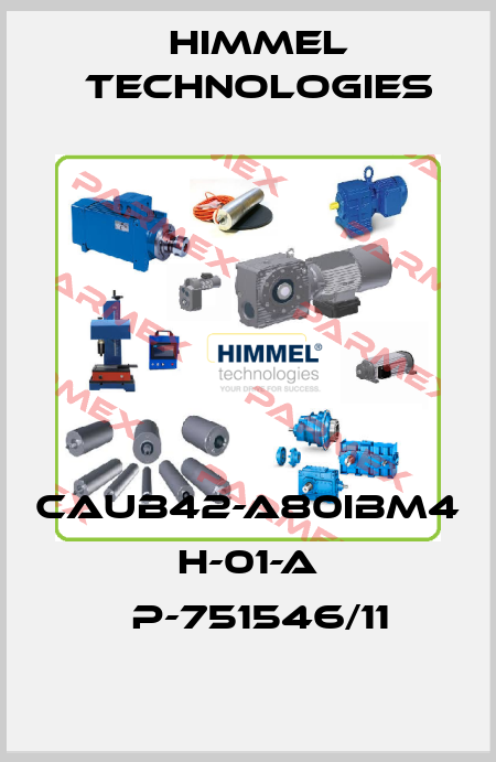 CAUB42-A80IBM4 H-01-A 	P-751546/11 HIMMEL technologies