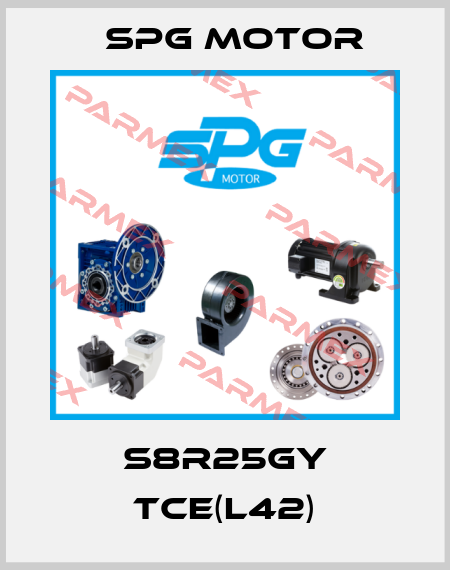 S8R25GY TCE(L42) Spg Motor
