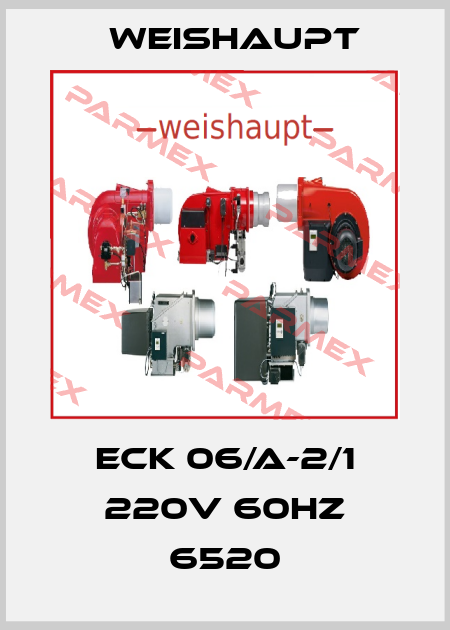 ECK 06/A-2/1 220V 60HZ 6520 Weishaupt