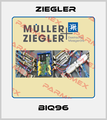 BIQ96 Ziegler