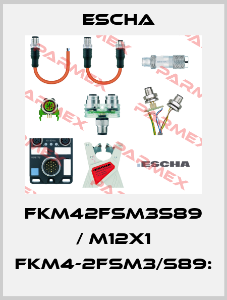FKM42FSM3S89 / M12X1 FKM4-2FSM3/S89: Escha