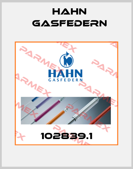 102839.1 Hahn Gasfedern
