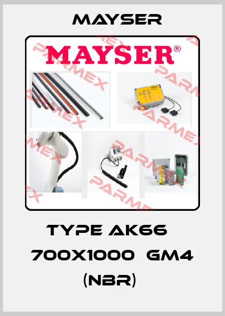 TYPE AK66   700X1000  GM4 (NBR)  Mayser