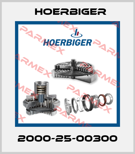 2000-25-00300 Hoerbiger
