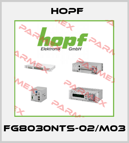 FG8030NTS-02/M03 Hopf