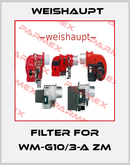 Filter for WM-G10/3-A ZM Weishaupt