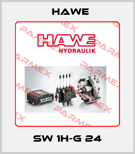 SW 1H-G 24 Hawe