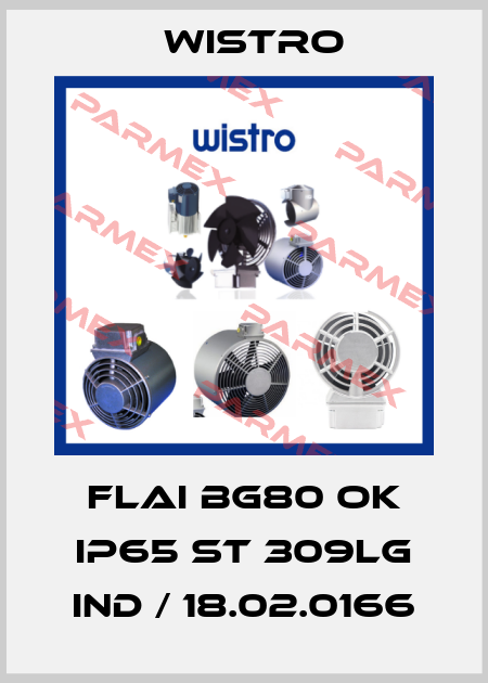 FLAI Bg80 OK IP65 ST 309lg IND / 18.02.0166 Wistro