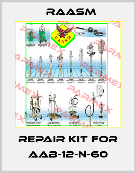 repair kit for AAB-12-N-60 Raasm