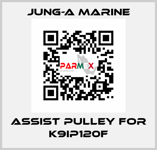 assist pulley for K9IP120F JUNG-A MARINE