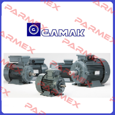 180 type rear bearing (6210 zz c3) Gamak