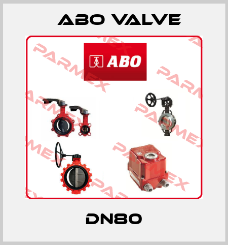 DN80 ABO Valve