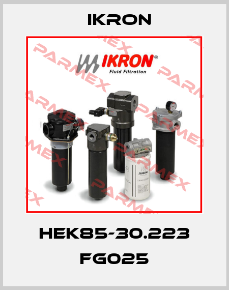 HEK85-30.223 FG025 Ikron