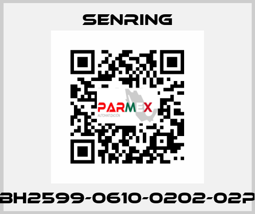 BH2599-0610-0202-02P SENRING