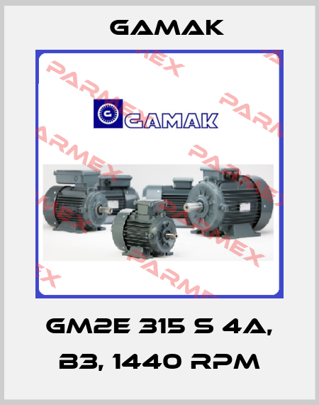 GM2E 315 S 4a, B3, 1440 rpm Gamak