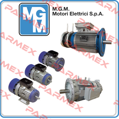 Three-phase red brake coil for MGM motor BA series size 100 M.G.M MOTORI